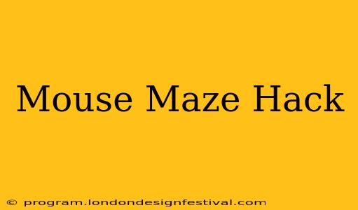 Mouse Maze Hack