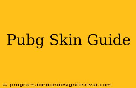 Pubg Skin Guide