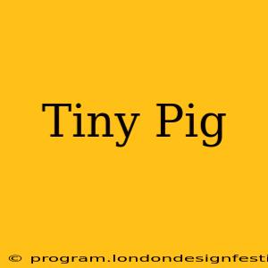 Tiny Pig
